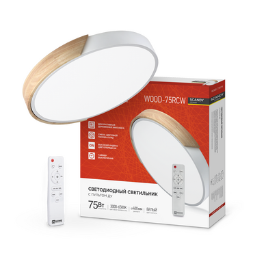 Светильник светодиодный SCANDY SIMPLE-75RCW 75Вт 230В 3000-6500K 6000Лм 400x50мм с пультом ДУ белый IN HOME, Потолочные светильники