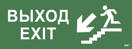 Самоклеящаяся этикетка: "Выход/лестница вниз/фигура" ССА 1005 IEK, Знаки электробезопасности